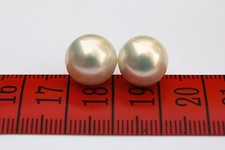 11-12 MM BIANCO coltivate