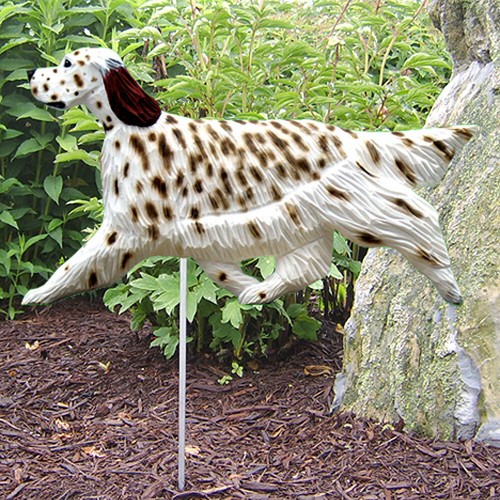 Inglese setter outdoor - setter,