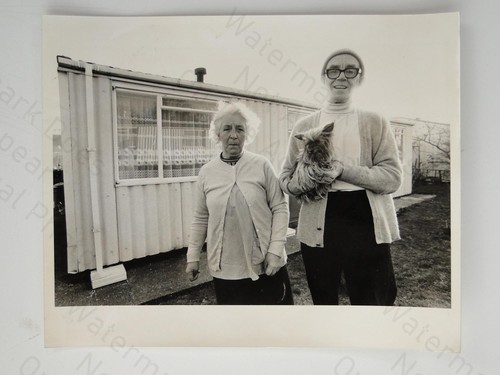 The darlings couple - the, dog