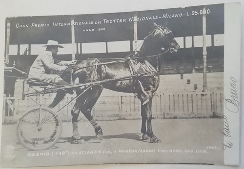 Cartolina gran premio trotto - cartolina,