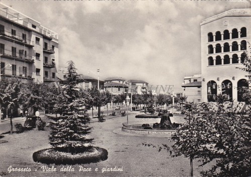 Grosseto viale della - grosseto,