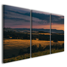 Quadri moderni Val d'Orcia IX