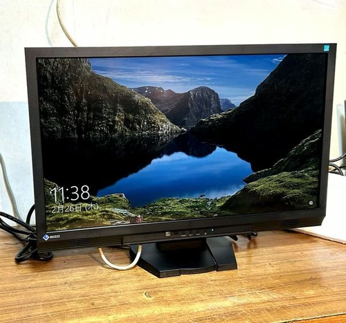 Eizo foris fs2333 pollici - 23,