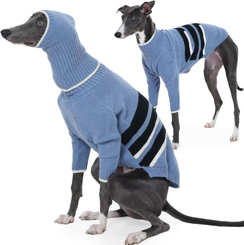 Maglione per levrieri con - maglione,