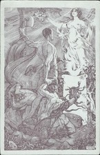 cn7 cartolina militare