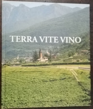 TERRA VITE VINO - CANTINA