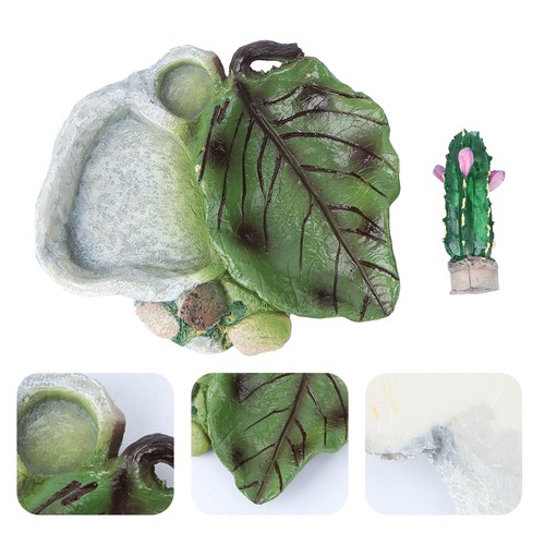 Accessori per tartarughe