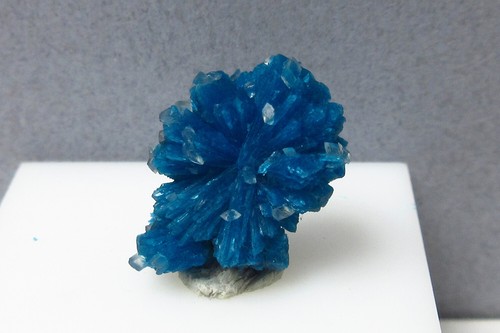 Cavansite con minuscole