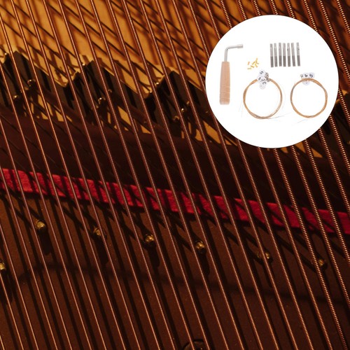 Corda dello strumento - corda,
