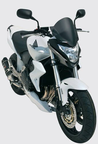 Cupolino 600 hornet - hornet, 2011