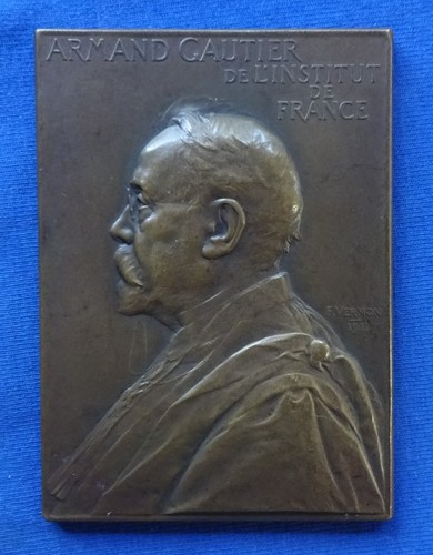 Francia placca in bronzo - in,