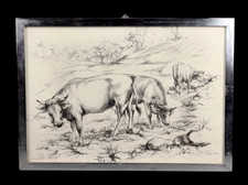 Arcangioli Gigi (Livorno 1907