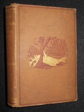 Notes and Jottings from Animal