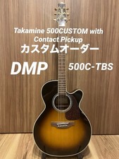 Takamine 500 Custom With