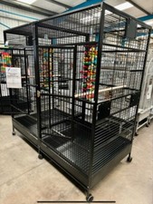 Parrot-Supplies New York XL