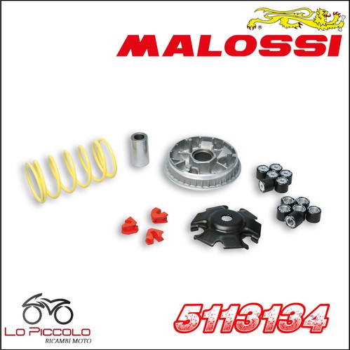 5113134 variatore malossi - variatore,