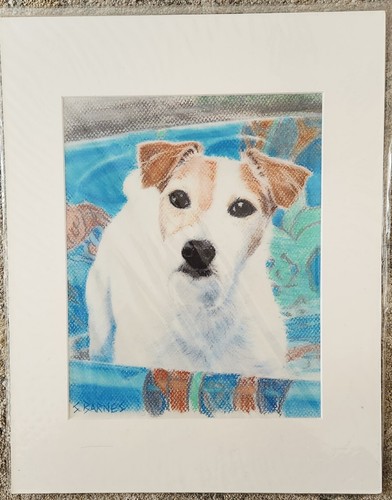 Jack parson russell - parson,