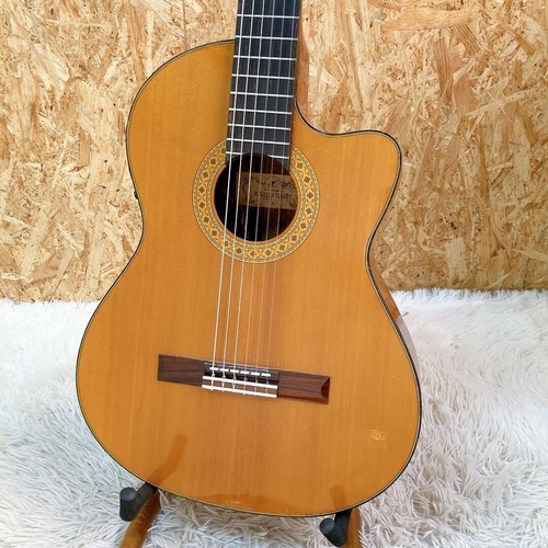 Chitarra elettrica acustica