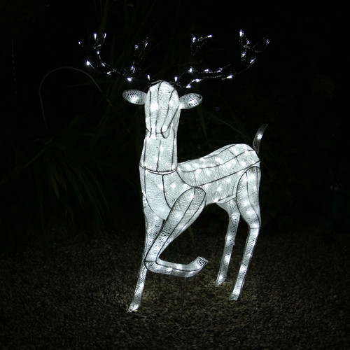 Renna natale luminosa - di,