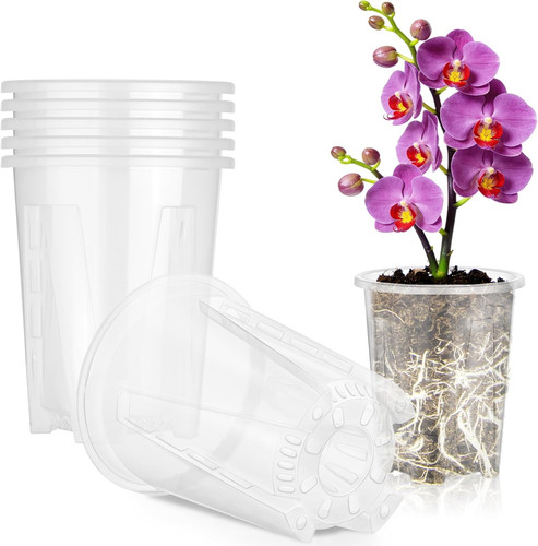 Pezzi vaso per - vaso, orchidee