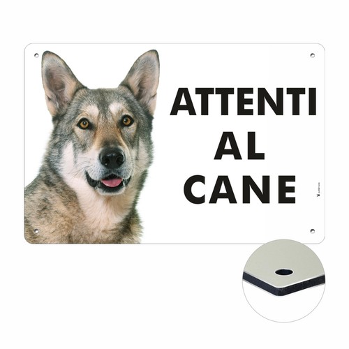 Lupo cecoslovacco attenti - cecoslovacco,