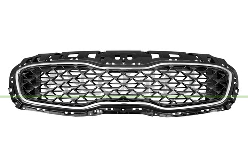 Griglia radiatore ki0262021 - radiatore,