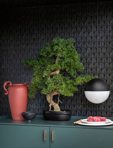 Bonsai pino con vaso - bonsai,