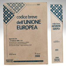 GIURISPRUDENZA UNIONE EUROPEA