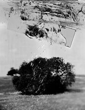 fotografia artistica stampa analogica in bianco nero in edizione limitata