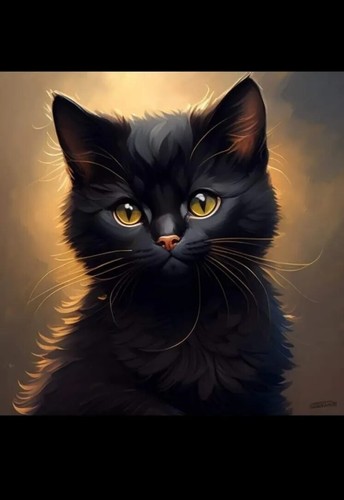 Gattino nero idea - regalo, /
