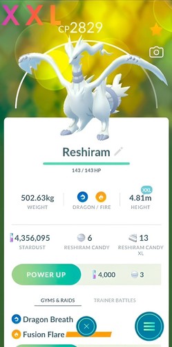 Reshiram xxl tr de - xl, |