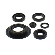 KIT GUARNIZIONI PARAOLI MOTORE