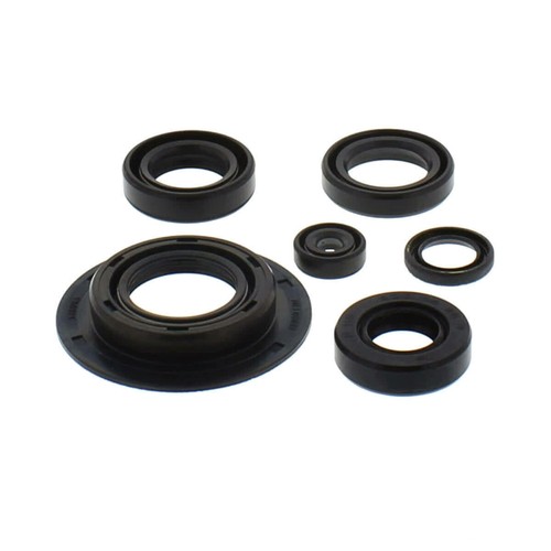Kit guarnizioni paraoli - kit, motore
