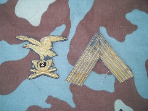 Lotto fregi alpini esercito - lotto,