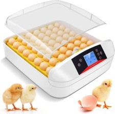 Incubatrice incubatrice