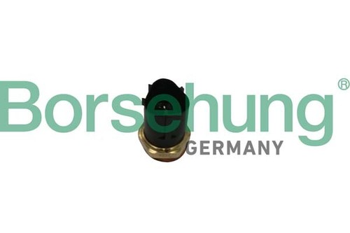 Borsehung b13129 interruttore - borsehung,