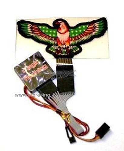 T952 aquila stroboscopica - aquila,