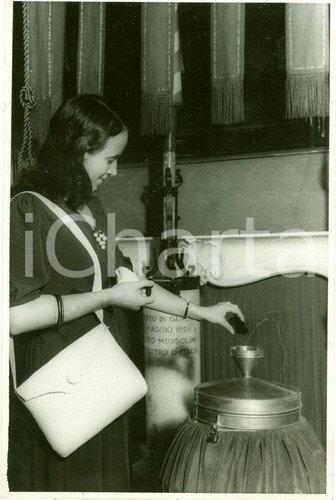 1930 genova offerta olio - genova,