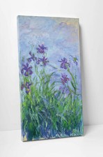 🌹 Claude Monet Iris Mauves