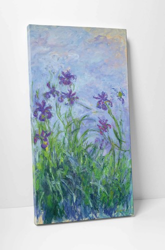 Claude monet iris - 🌹,