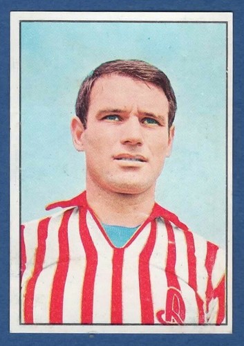 Figurina calciatori panini - figurina,