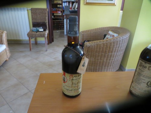 Vino salice collezione - salice,