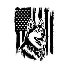 Adesivo decalcomania patriota