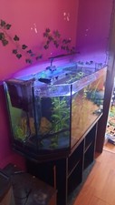 ACQUARIO 200L + MOBILETTO + UTENSILI completo usato 