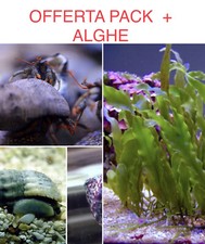 Speciale Pack Pulitori