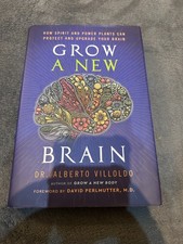 Grow a New Brain - Dr. Alberto Villoldo (Hardback) Free P+P