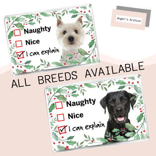 Christmas naughty nice list - naughty/nice,