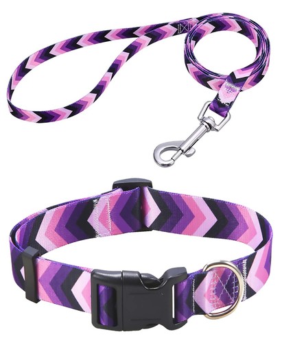 Mihqy collare per cani set - collare,