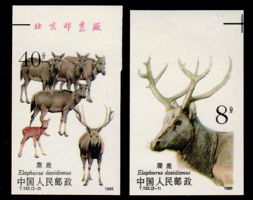 Francobolli cina t132 1988 - francobolli,