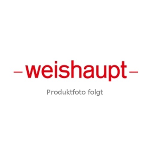 Leva regolatore weishaupt - regolatore,